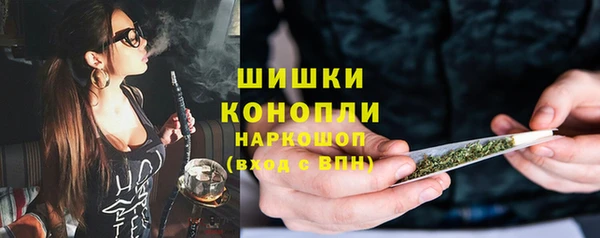 шишки Медногорск