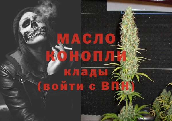 шишки Медногорск