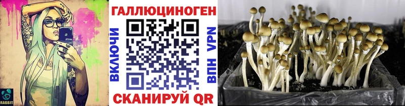 где продают наркотики  Плёс  Псилоцибиновые грибы мухоморы 