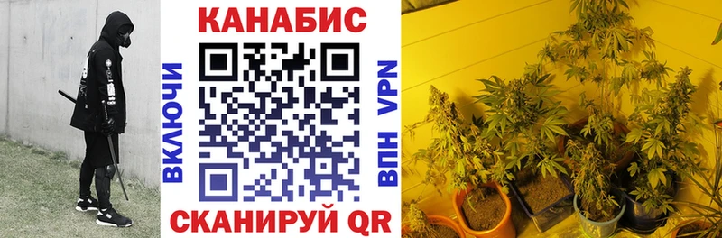 Каннабис MAZAR  ОМГ ОМГ ONION  Плёс 
